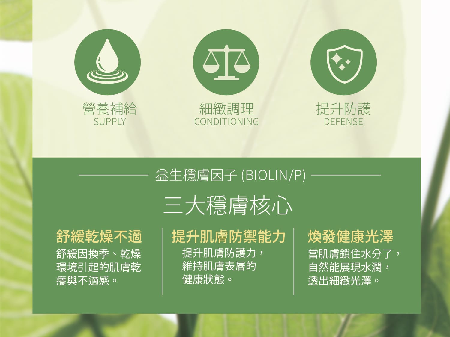 淨透細緻玻尿酸洗顏慕斯