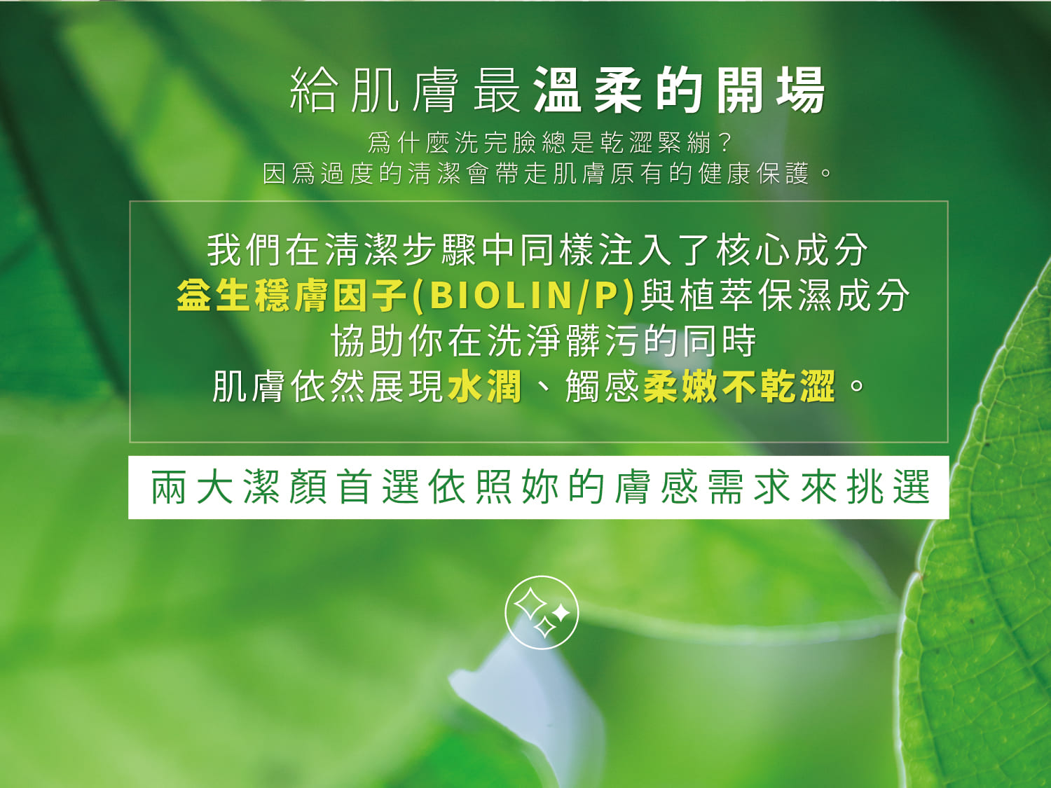 益生源胺基酸潔顏凝膠