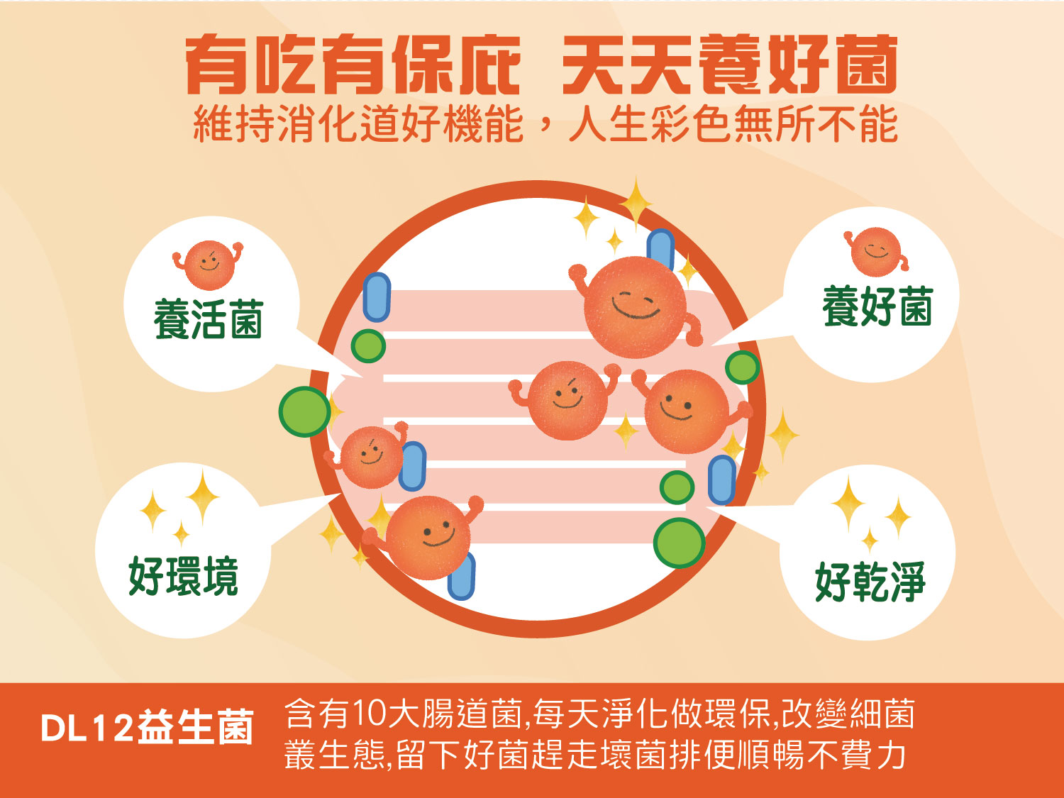 DL12益生菌