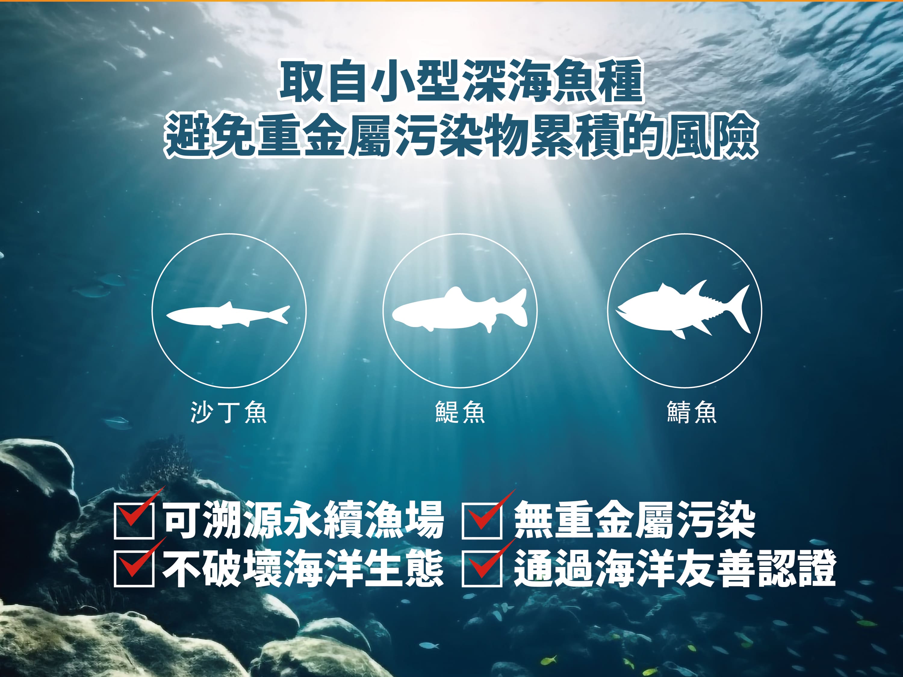 100%魚油軟膠囊
