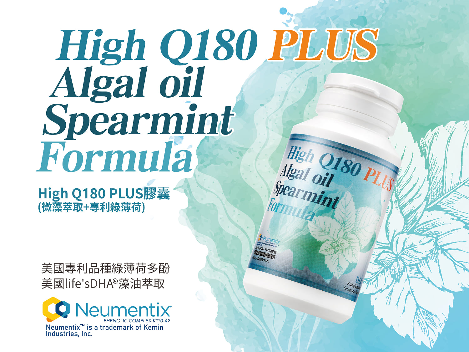 High Q180 PLUS膠囊