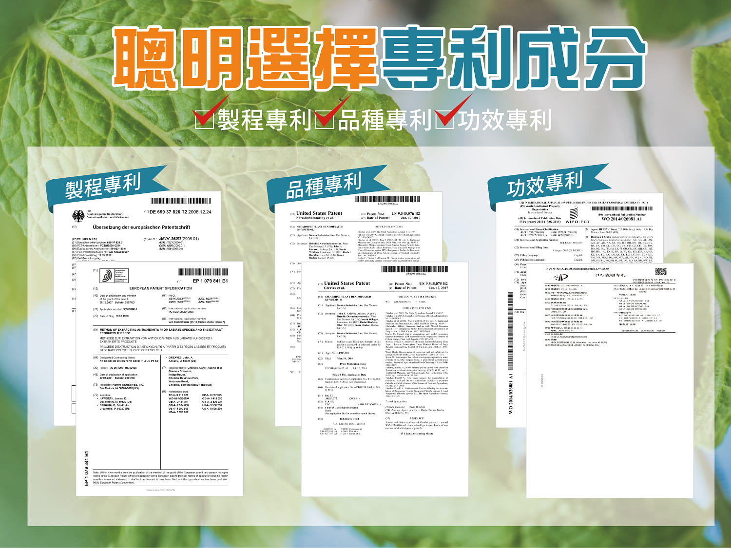 High Q180 PLUS膠囊