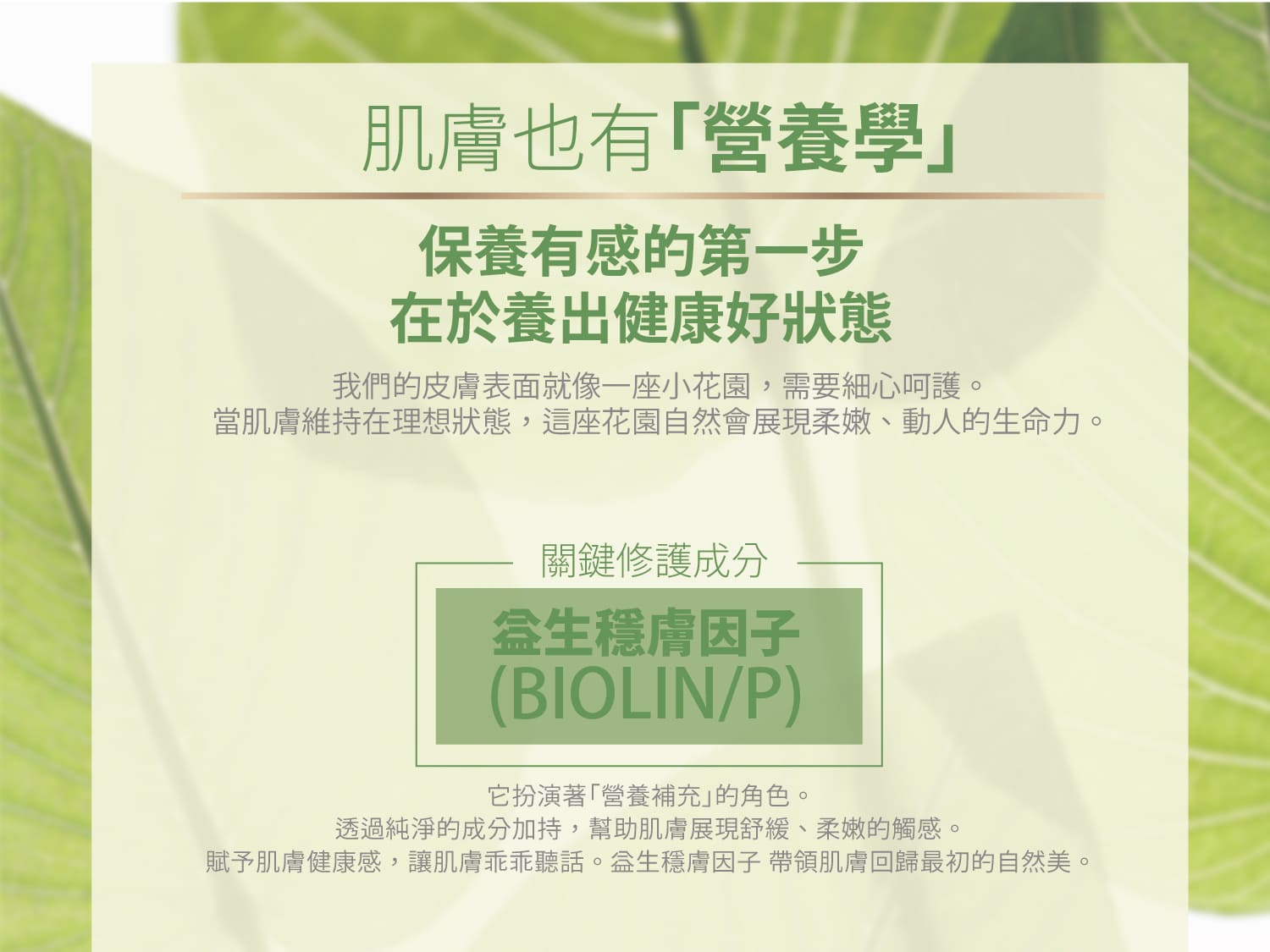 植萃AB抗老活膚乳